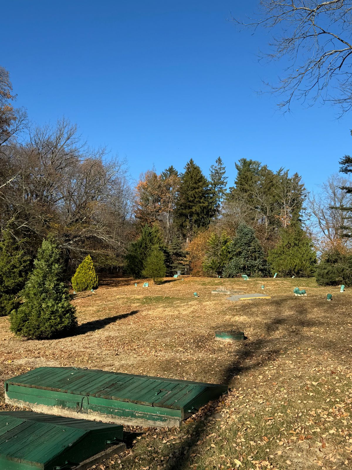 Hole 6