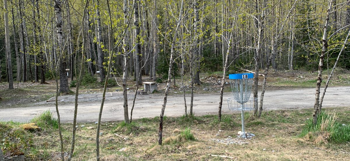The new basket equipped hole#18!