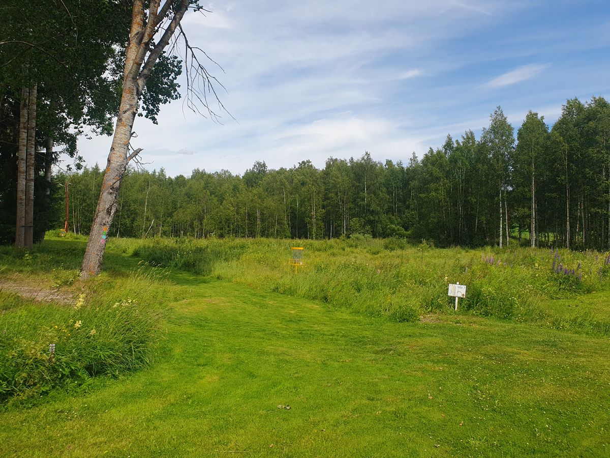 Discslukarområdet mellan hål 6 och 7.
