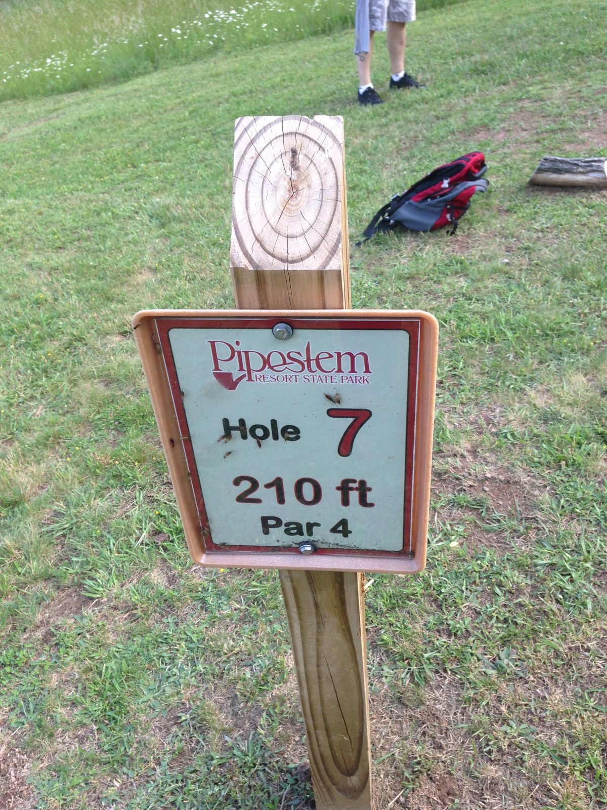 Hole 7