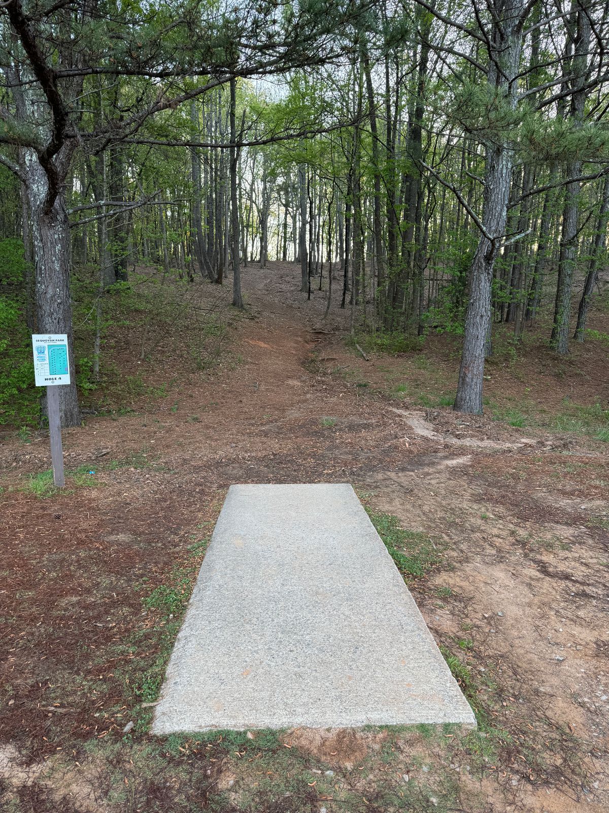 Hole 4