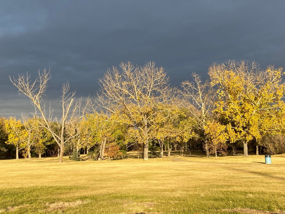 Looking toward hole 1s basket from beside the parking lot