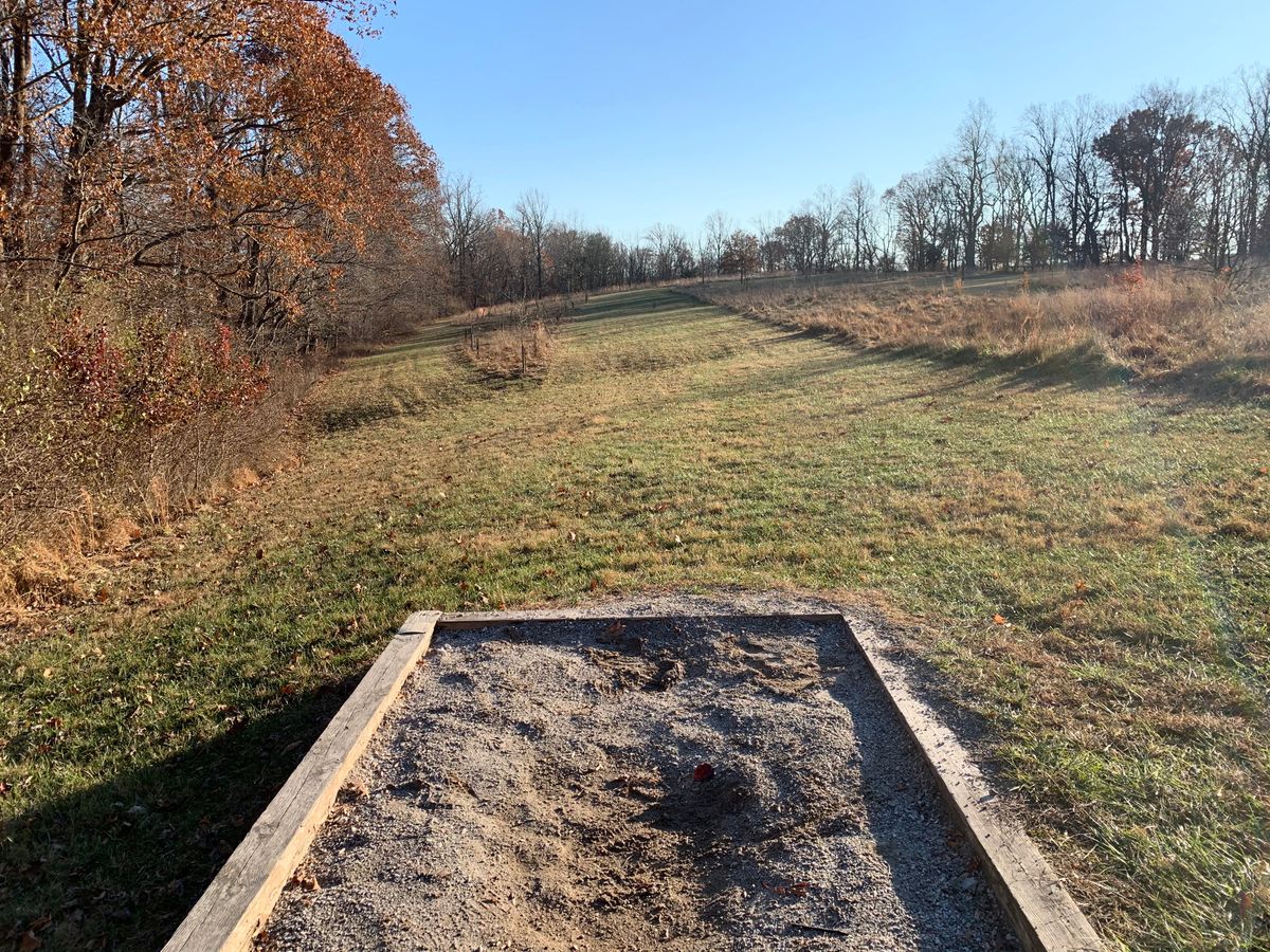 Hole 11 (short tee)
