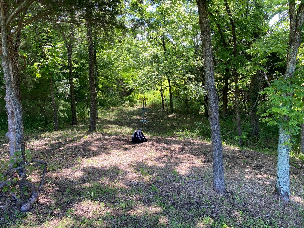 Hole 2’s basket.