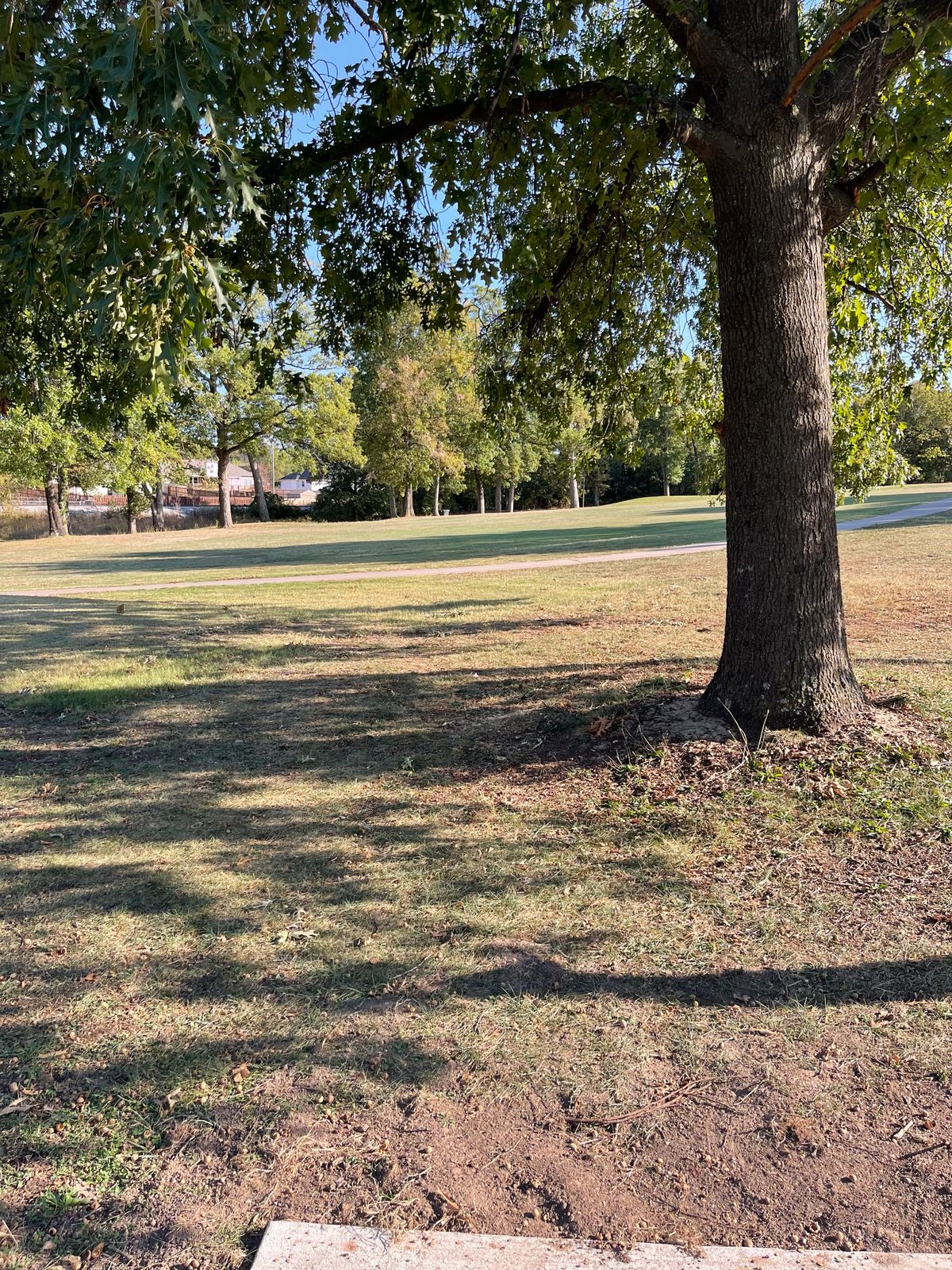 Hole 14’s tee