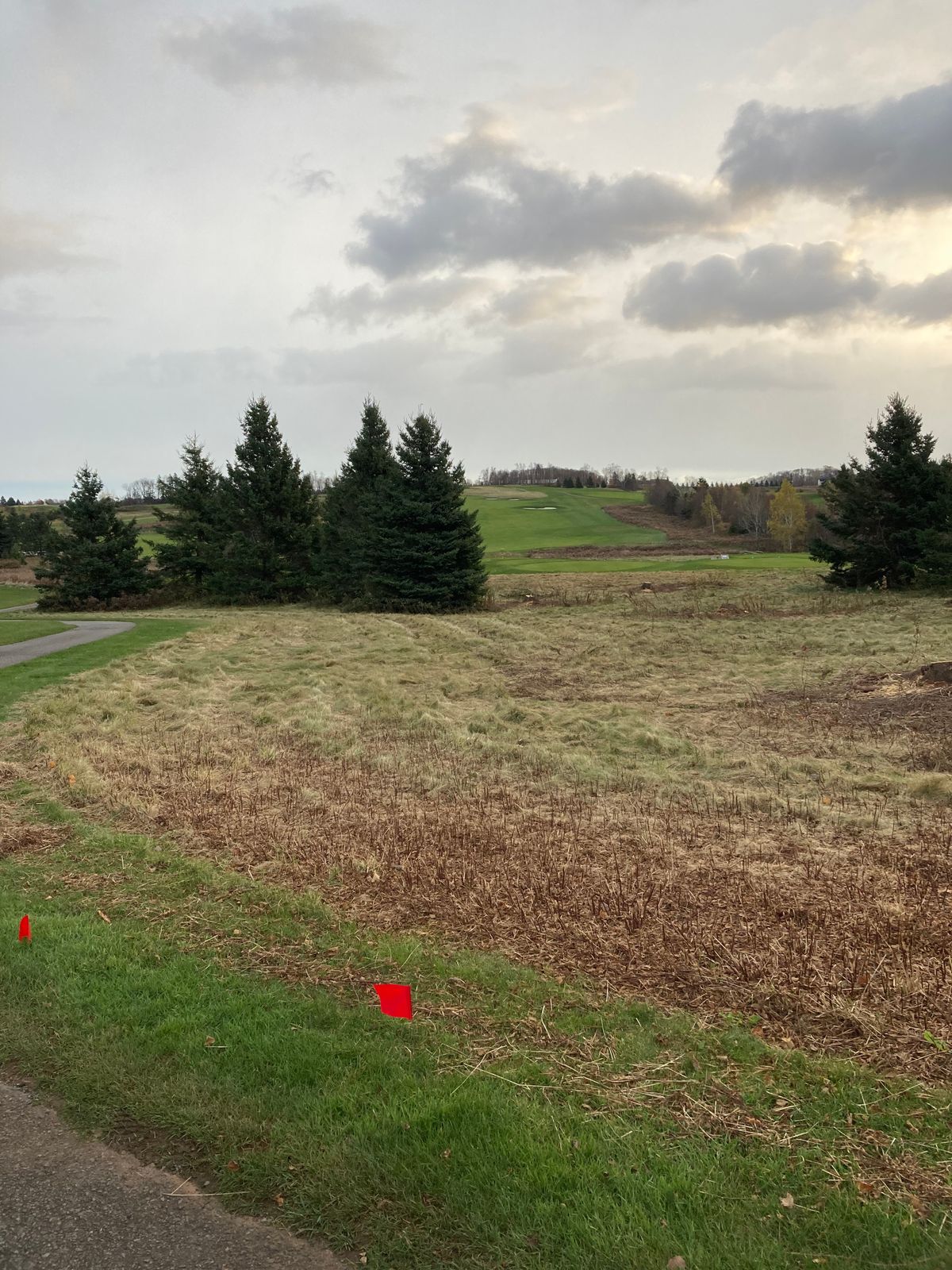 Hole 6 Red tee