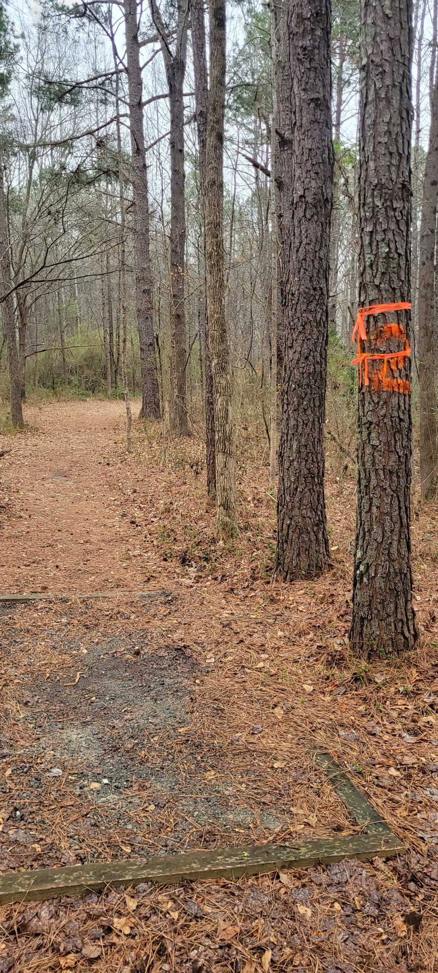 Orange Tee, Hole 2