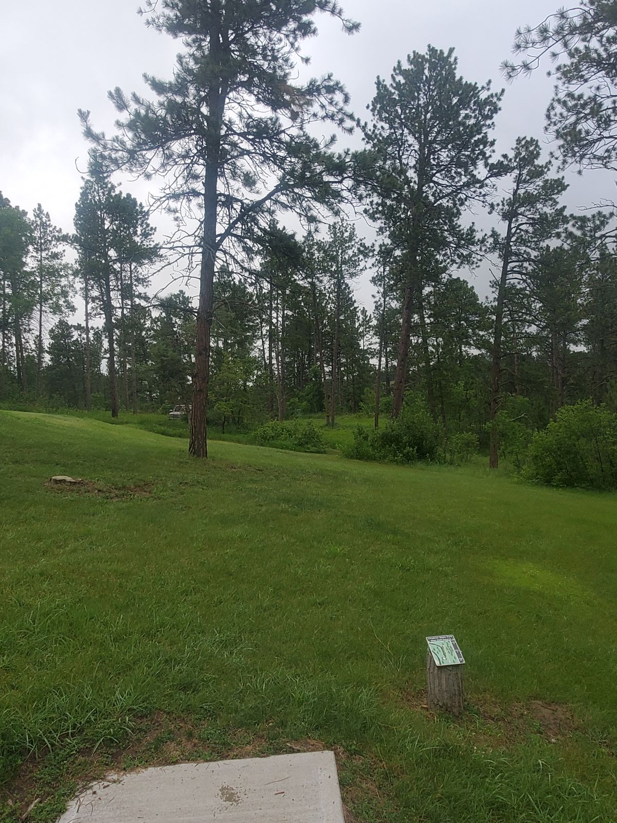 Hole 9