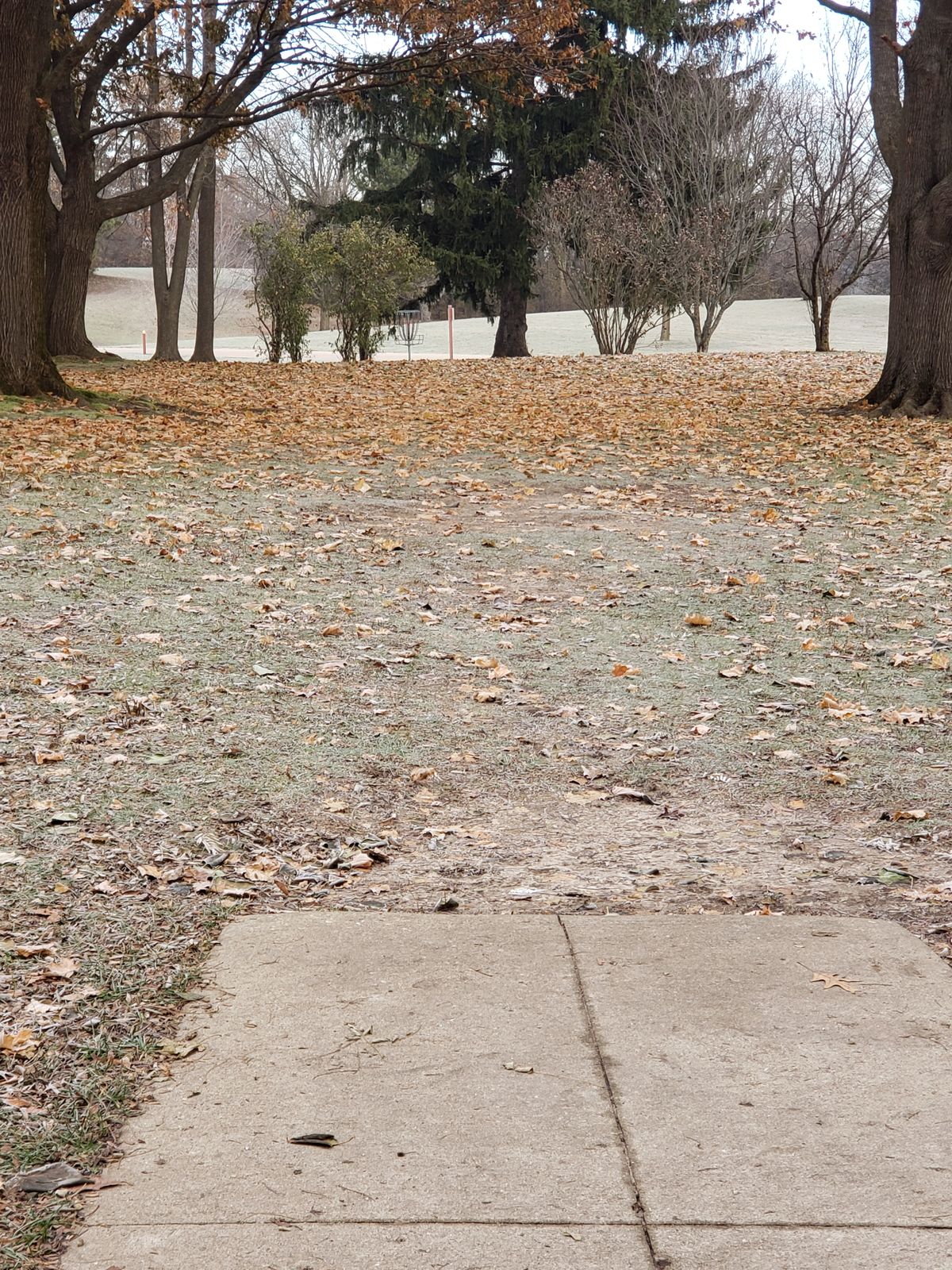 Hole 1 short