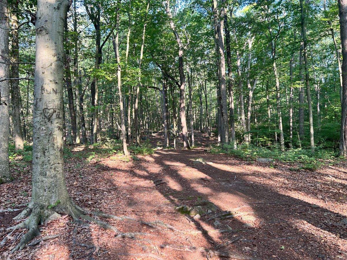 Hole 7