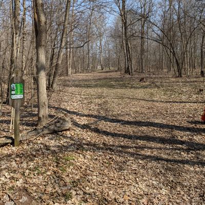 Hole 6