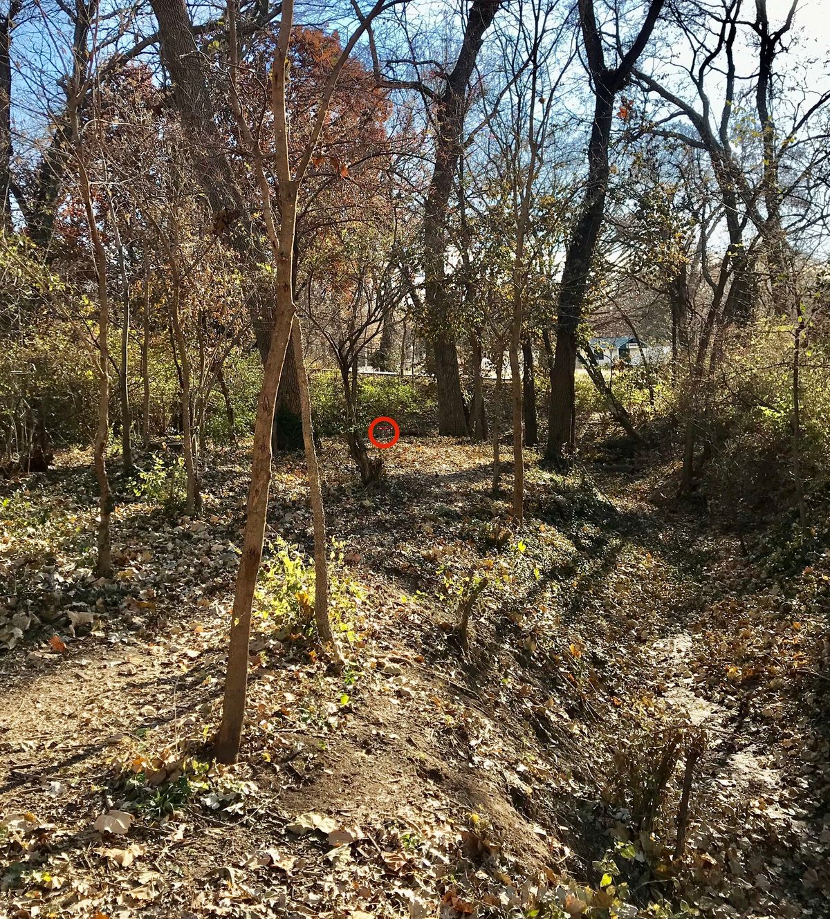 Hole 18 Approach