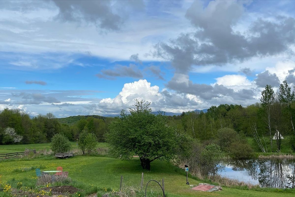 View out of the barn