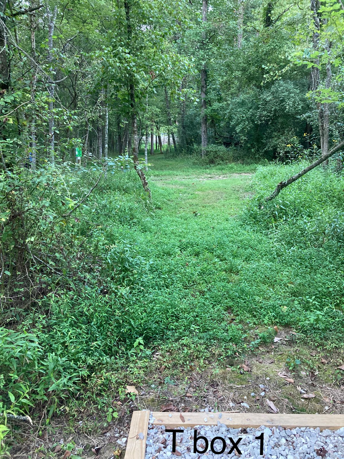 T box 1 hole 9