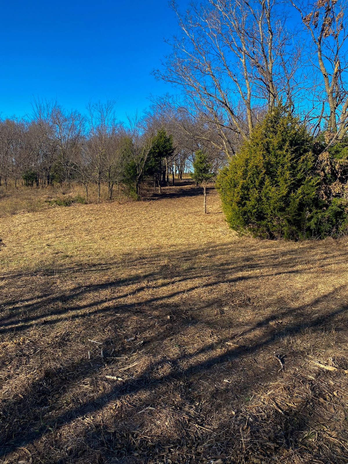 #16 fairway looking back up to Tee