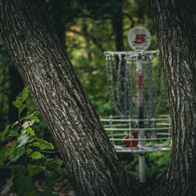 Hole 5- @ShelbyFramesTheDisc