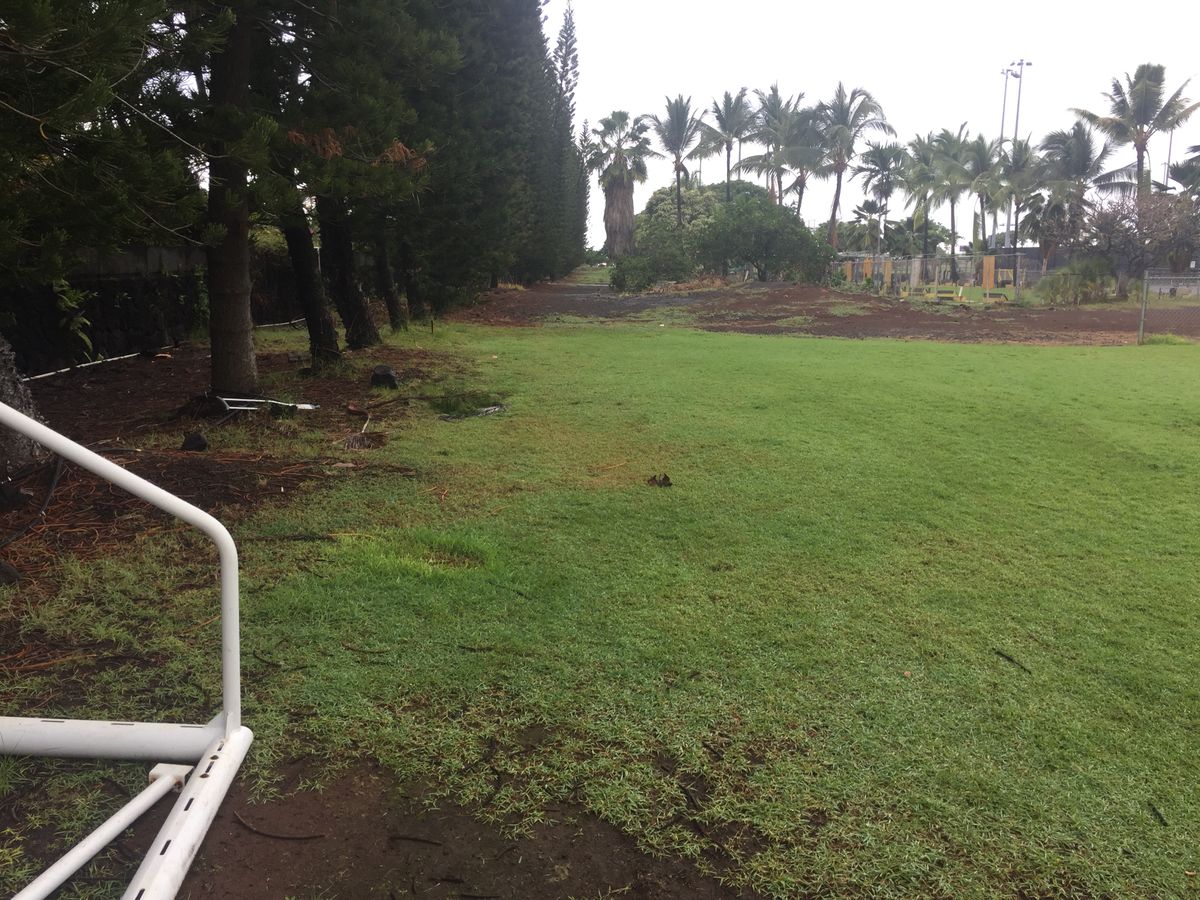 Hole 4 - basket is bu the palms ahead and a bit to the right. Use a spotter.