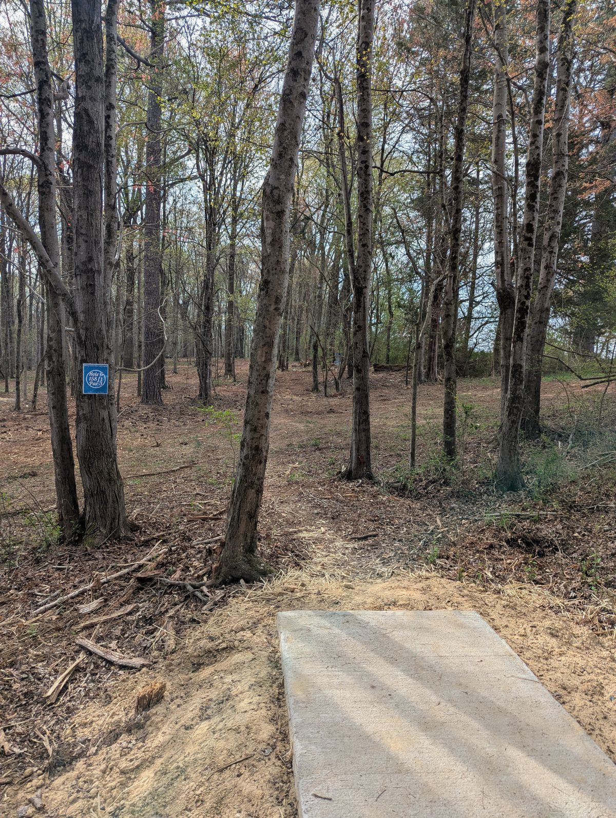 Hole 6