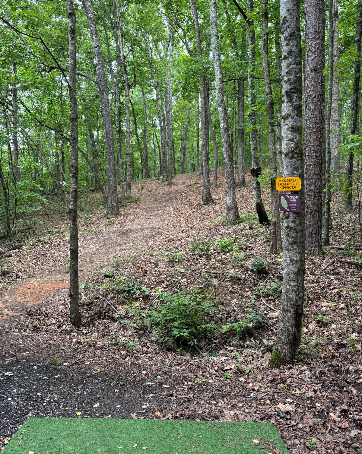 Hole #6 Tee