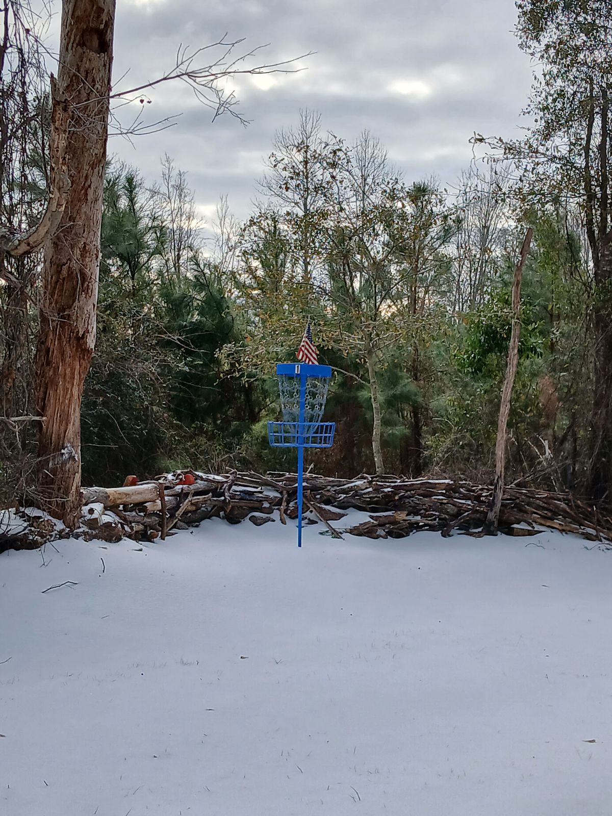 The Viking DGC in the snow.