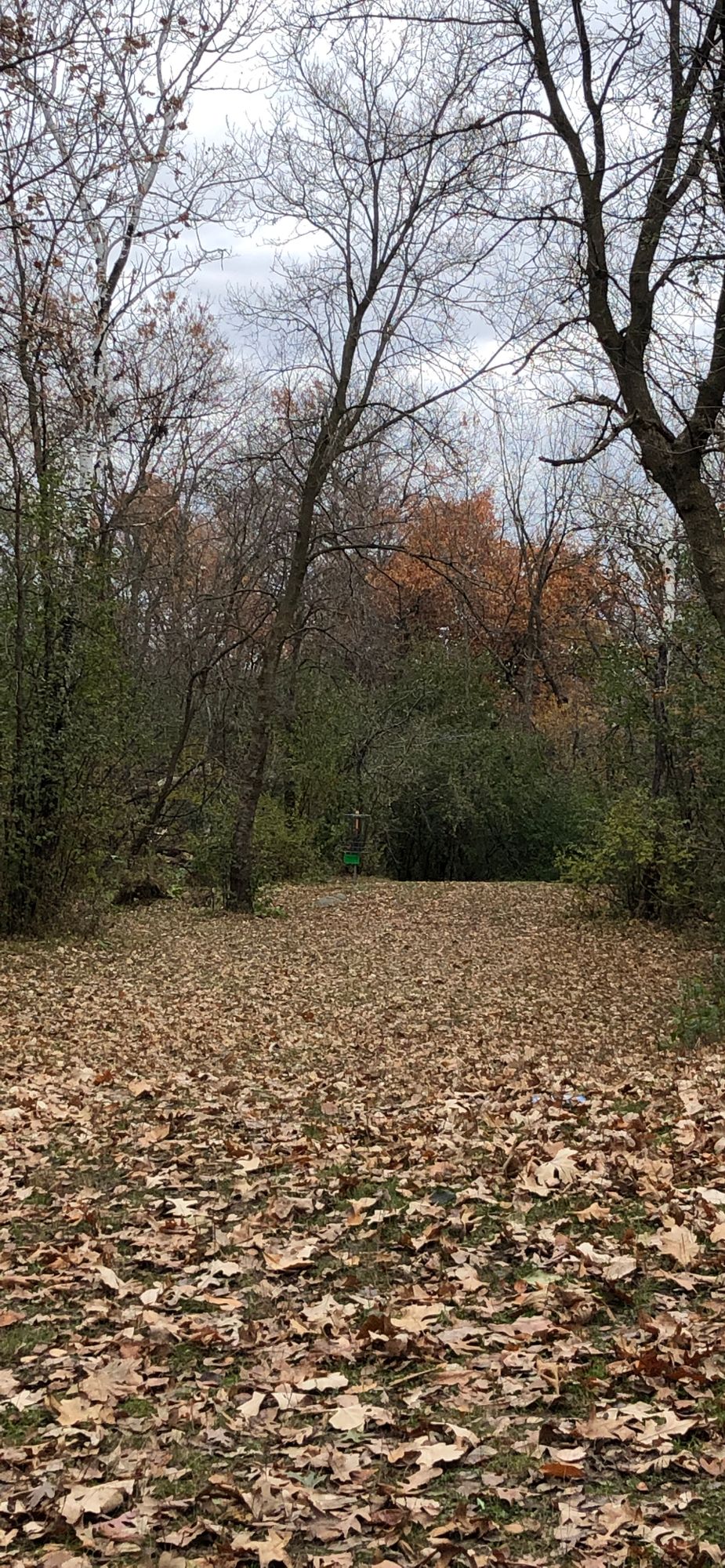 Hole 6