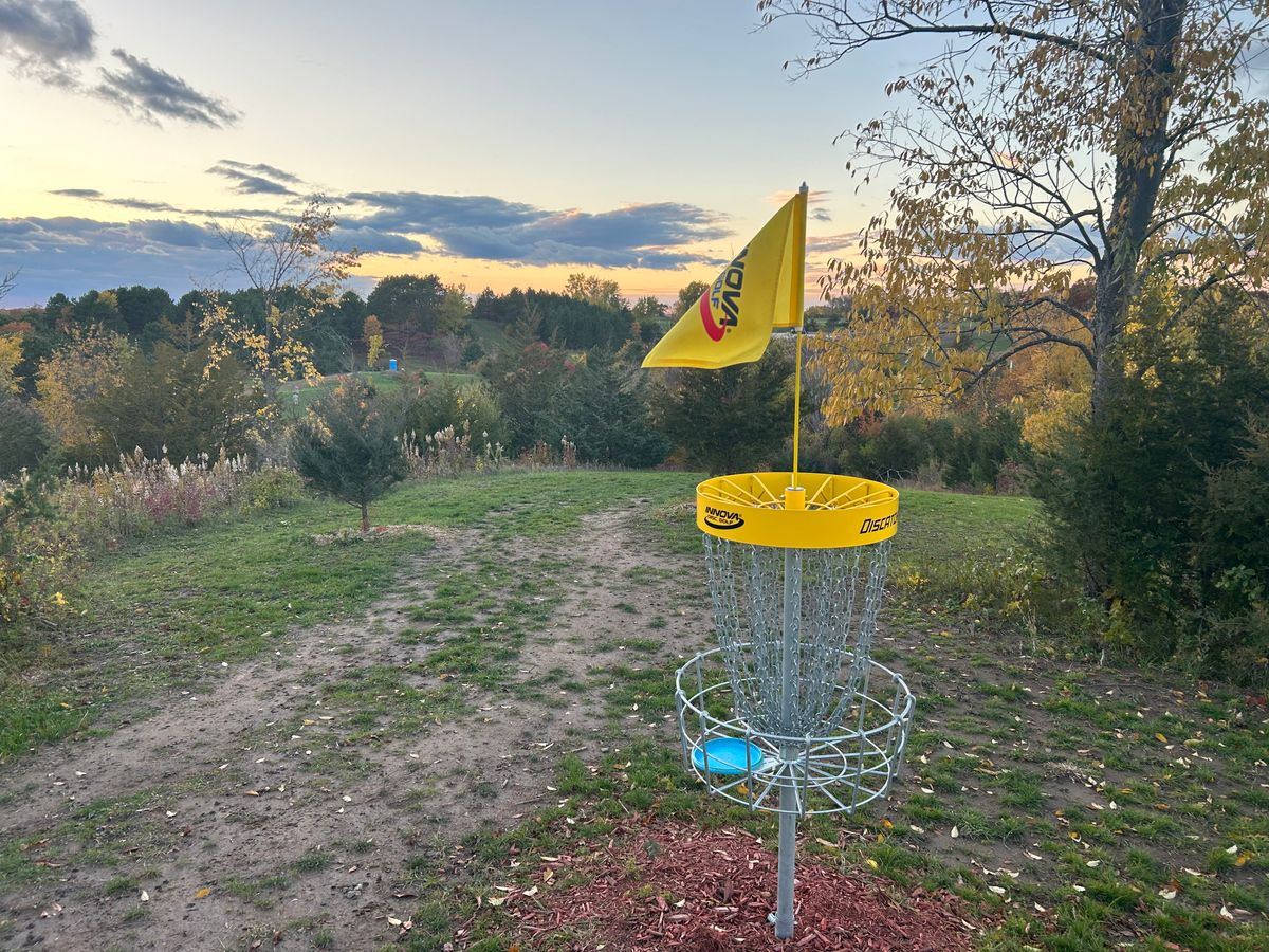 Hole 13 basket looking back toward the hill/fairway