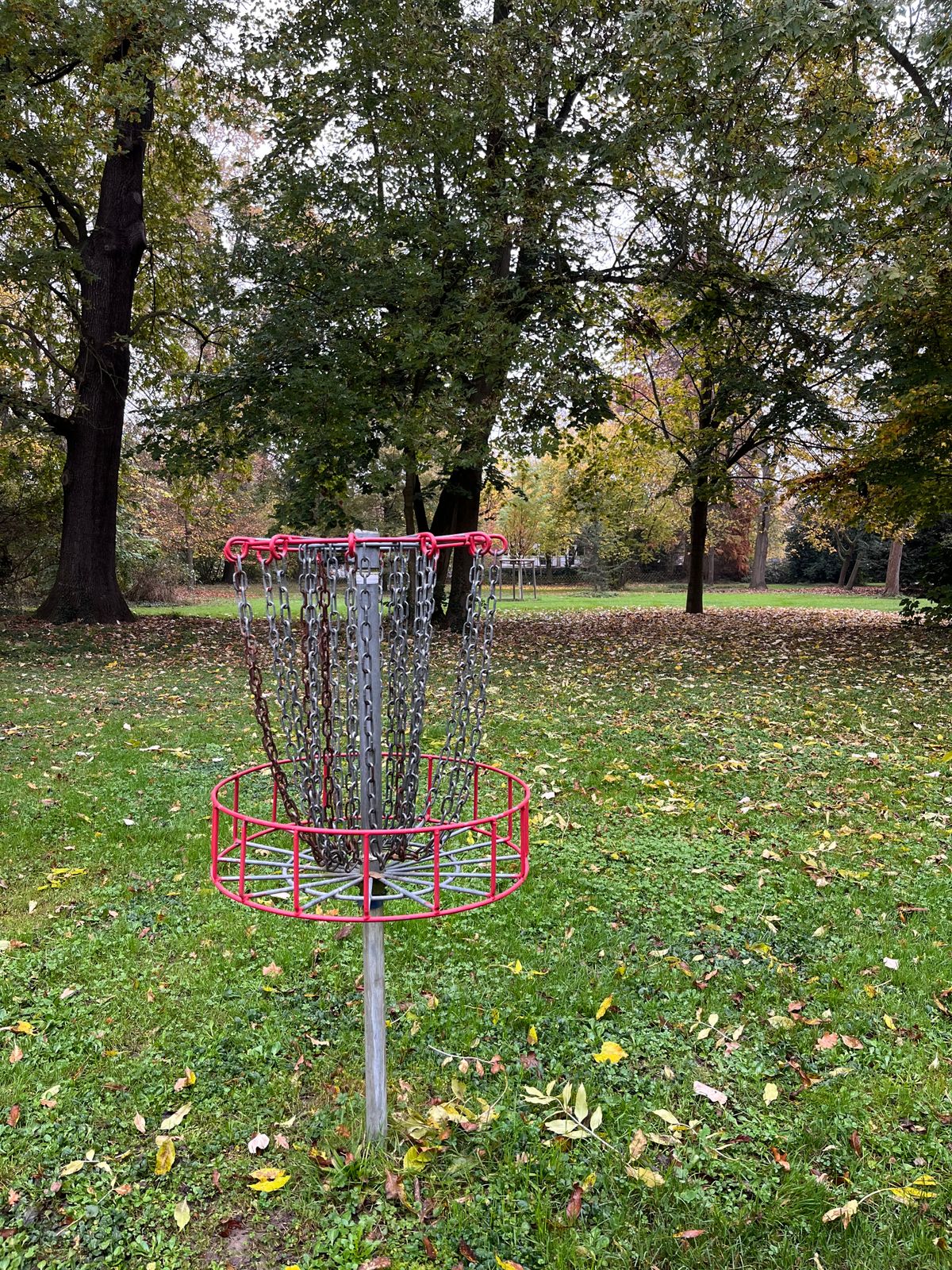 6 basket