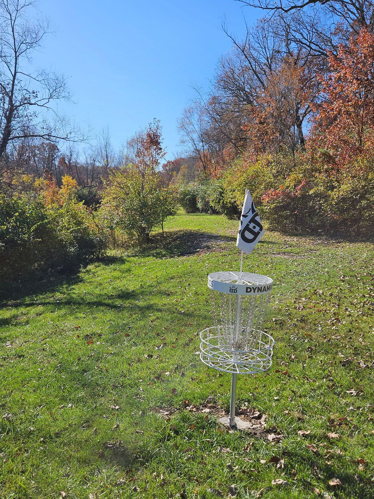 Hole 8 green back to tee