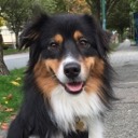 User avatar image