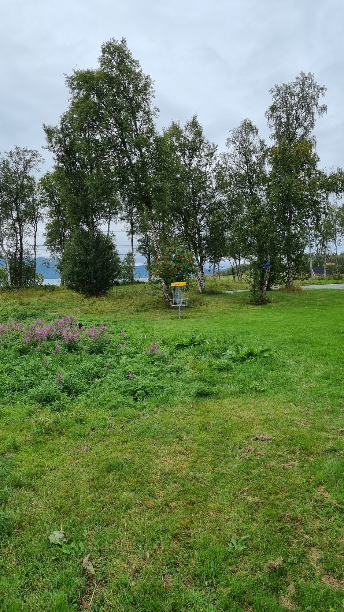 Hole 3