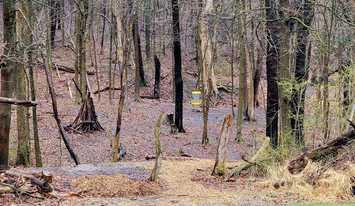 The Hollow
