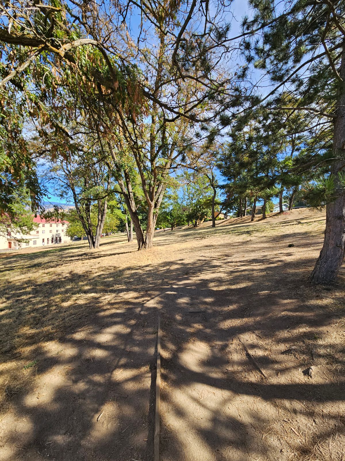 Tee 2