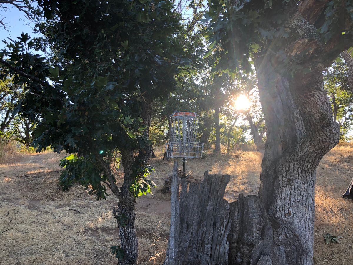 Hole 8 basket as seen from behind broken tree.