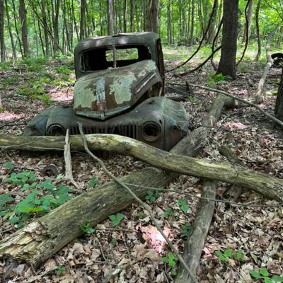 Truck on hole 4