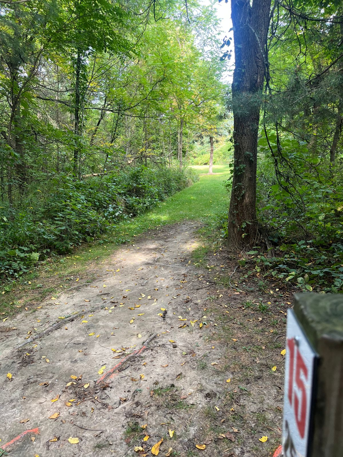 Hole 15