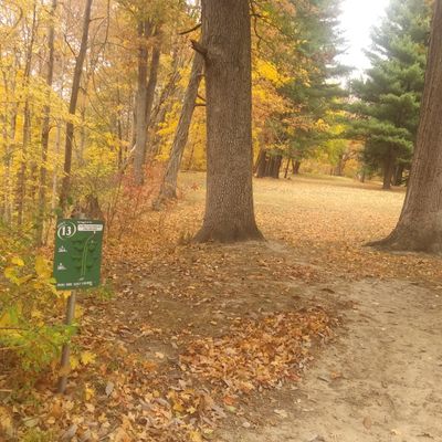 Hole 13 tee pad in fall