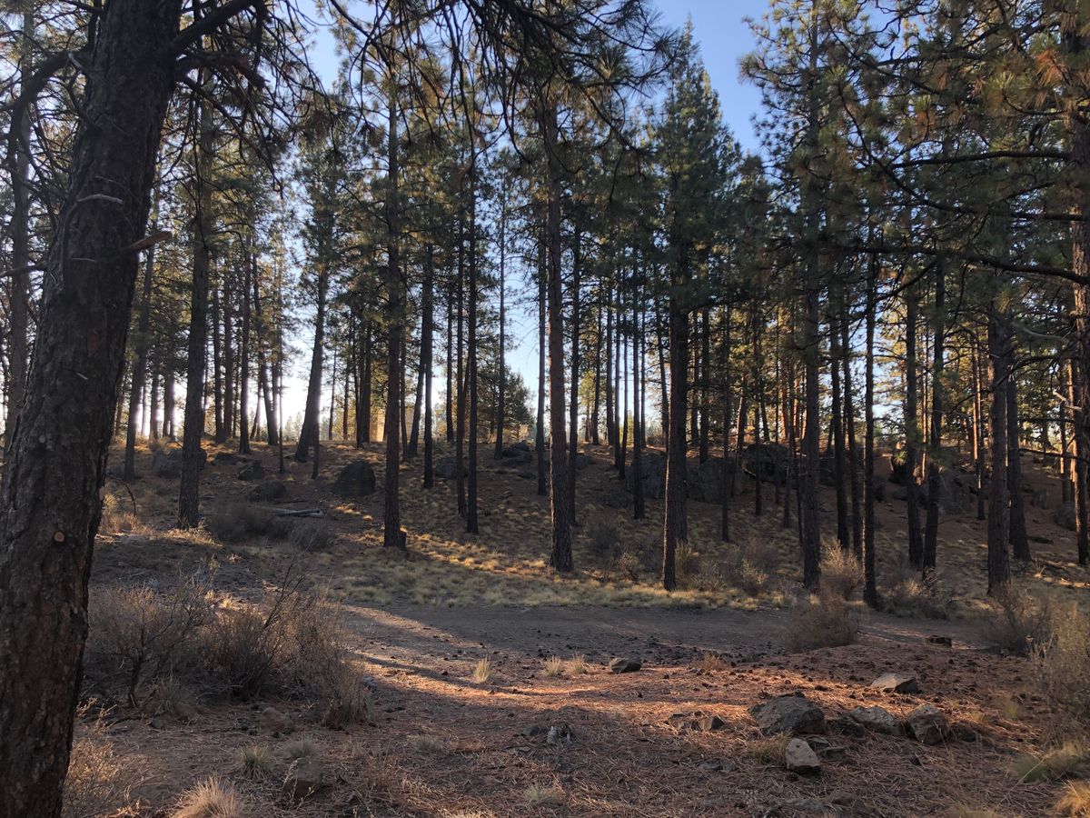 Hole 4.