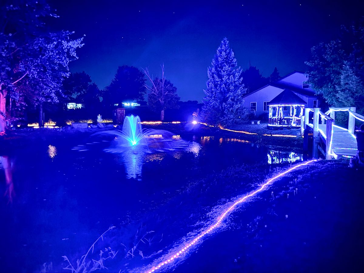 The fountain
