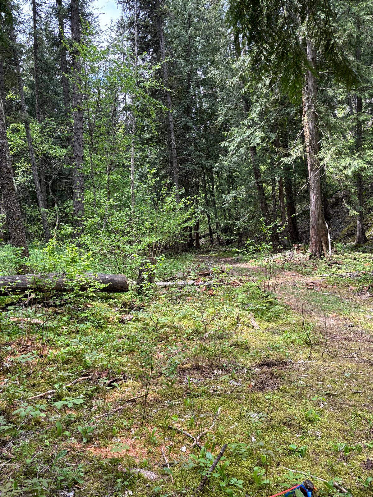 Hole 11
