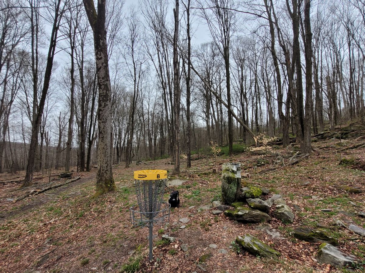 Another tree coming down on 8. LOL