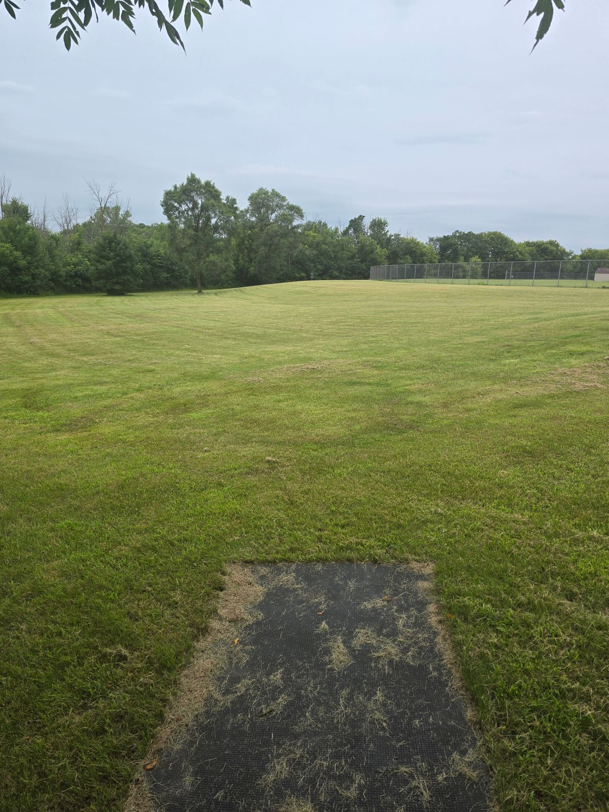 3 is 315' sign in wods behind tee
