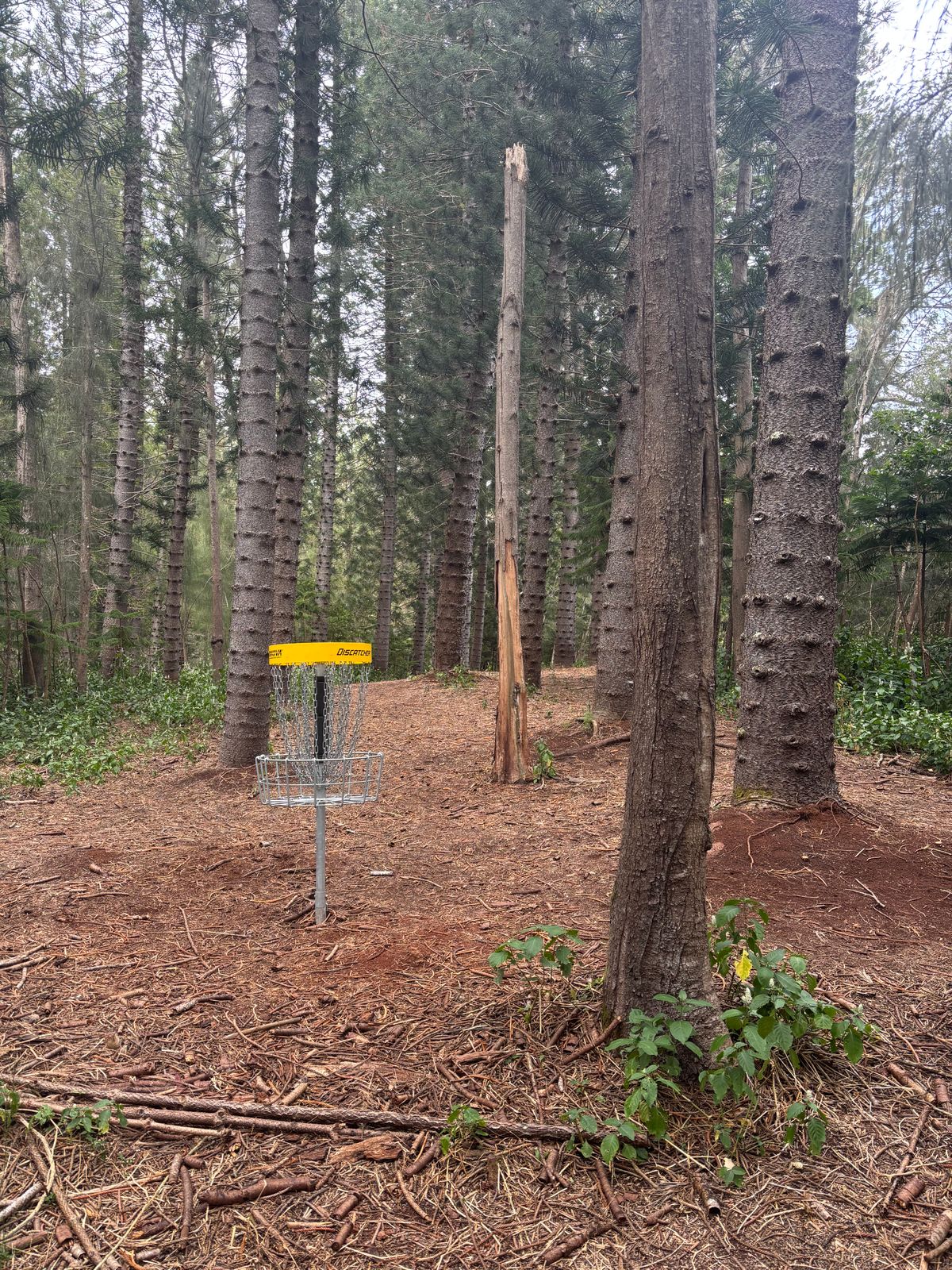 Hole 1