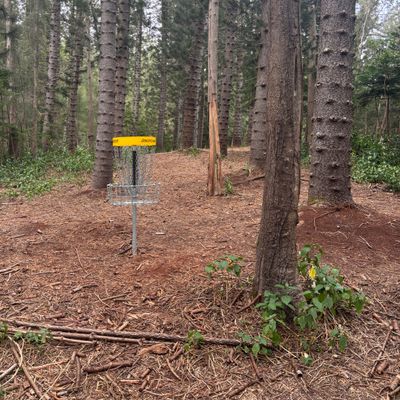 Hole 1