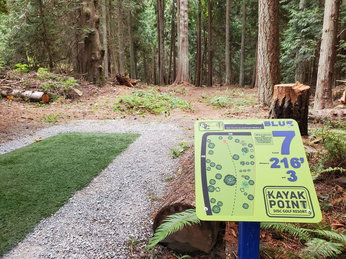 Hole 7 tee