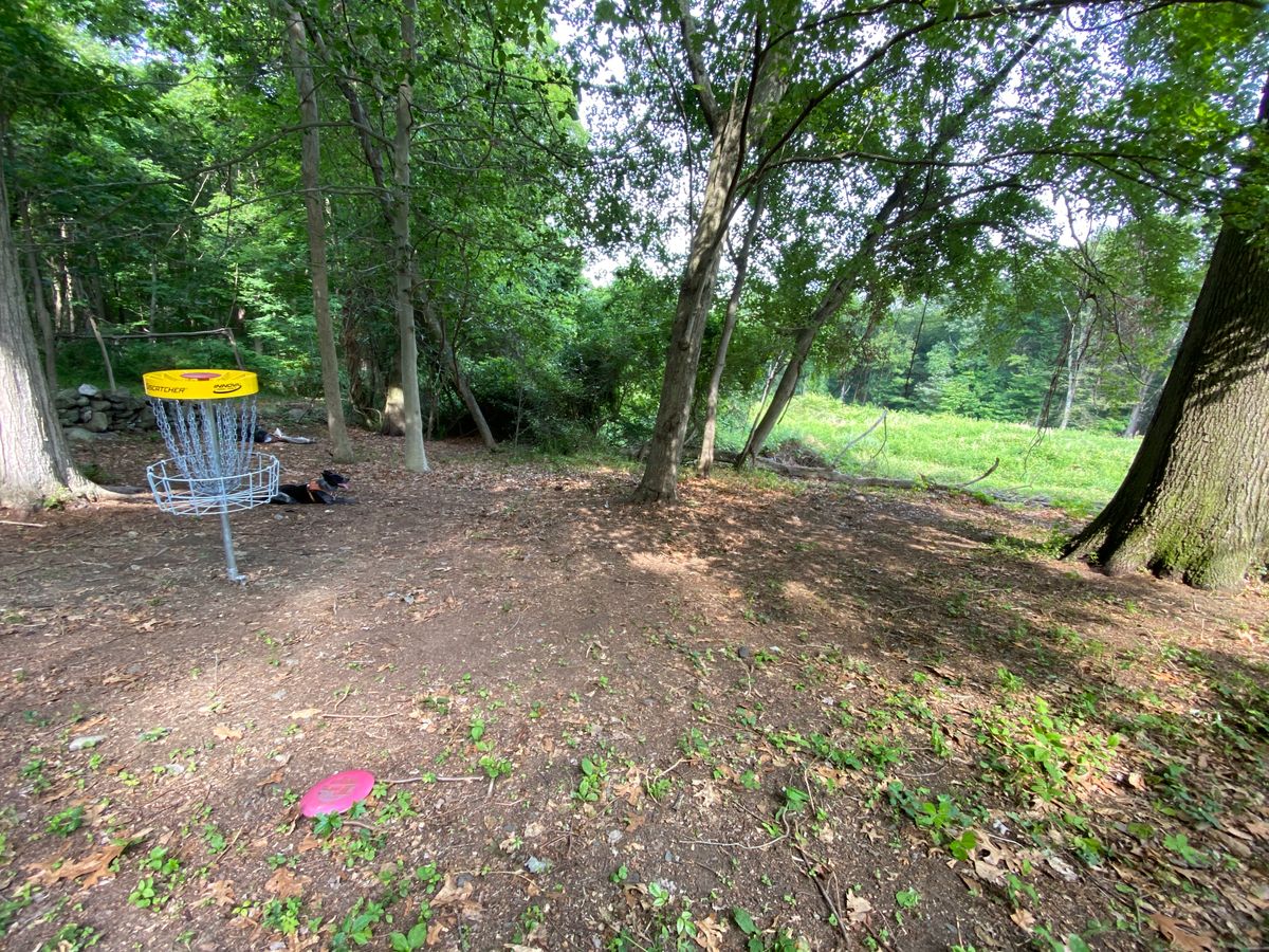 The green of 7