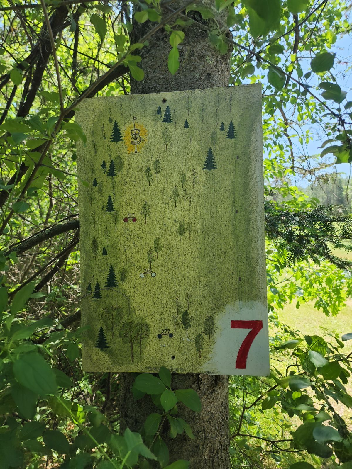 Hole 7
