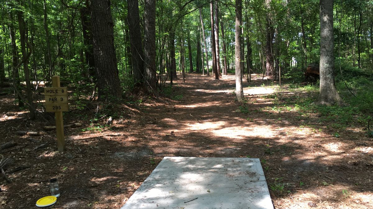 Hole 8