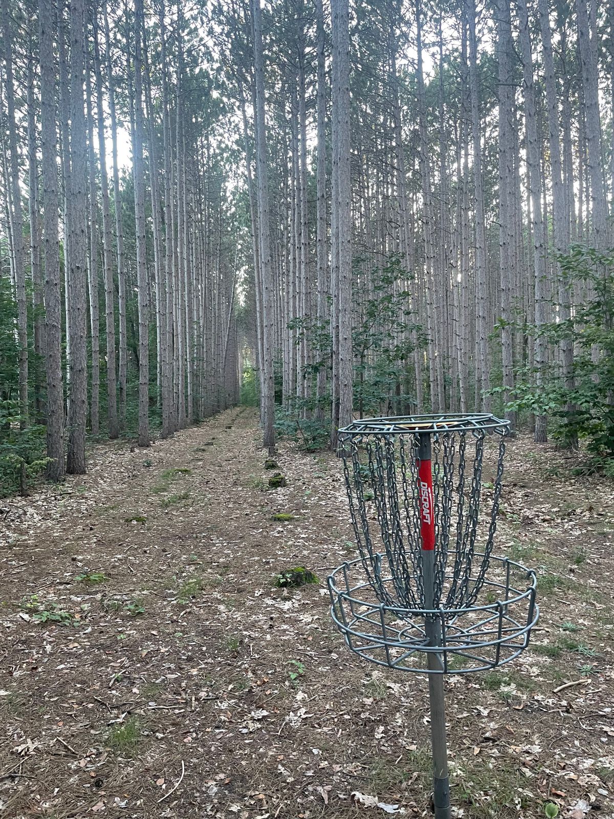 Hole 3 looking back towards the pad