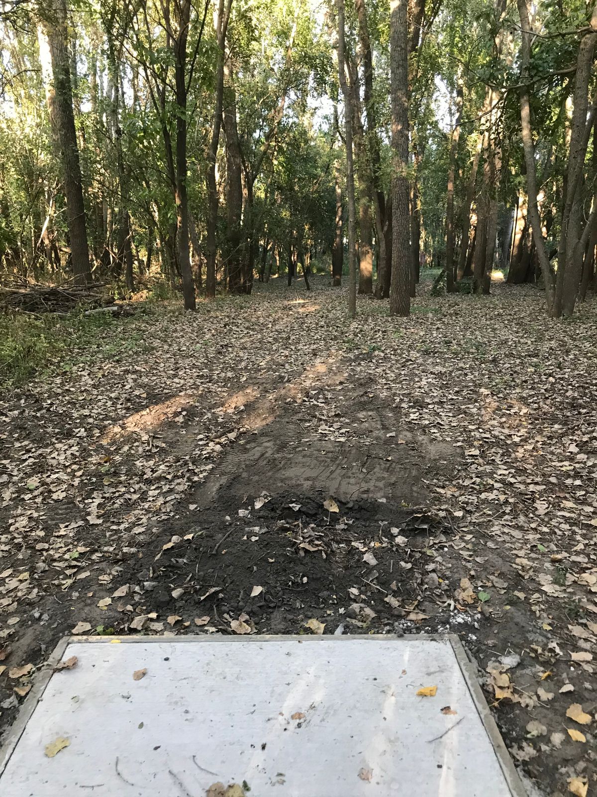 Hole 9