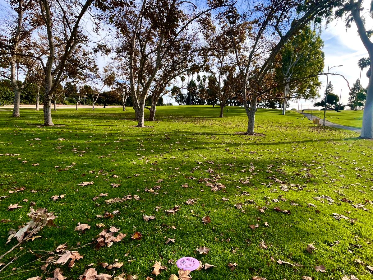 Hole 4